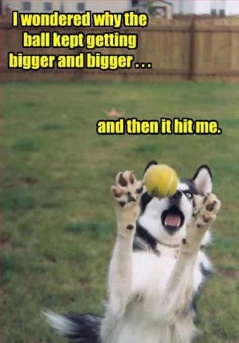 ball.jpg